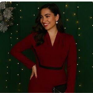 NWT Kobi Halperin Red Long Sleeve Stretch Dress Size 6